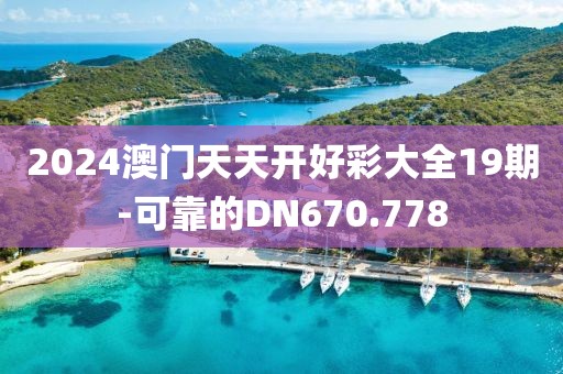 2024澳門天天開好彩大全19期-可靠的DN670.778