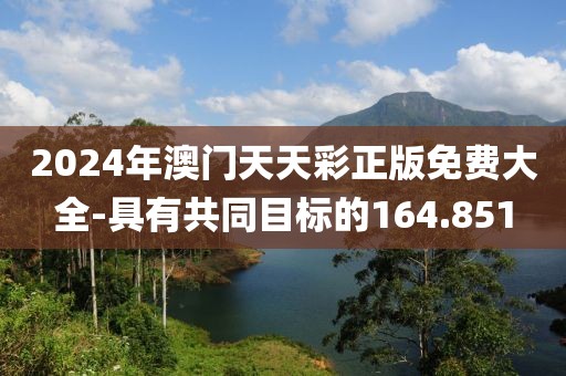 2024年澳門天天彩正版免費大全-具有共同目標的164.851