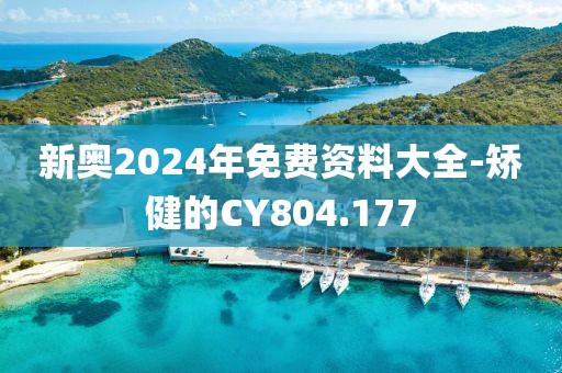 新奧2024年免費資料大全-矯健的CY804.177
