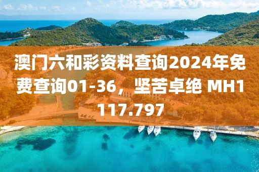 澳門六和彩資料查詢2024年免費(fèi)查詢01-36，堅(jiān)苦卓絕 MH1117.797