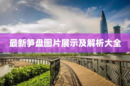 最新筍盤圖片展示及解析大全