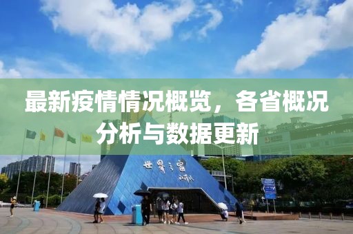 最新疫情情況概覽，各省概況分析與數(shù)據(jù)更新