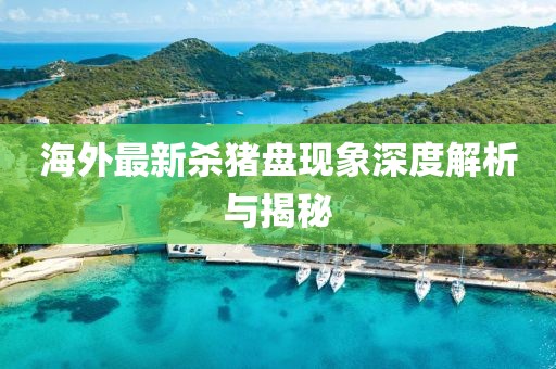 海外最新殺豬盤現(xiàn)象深度解析與揭秘