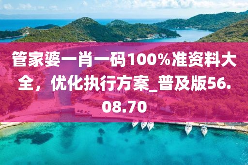 管家婆一肖一碼100%準(zhǔn)資料大全，優(yōu)化執(zhí)行方案_普及版56.08.70