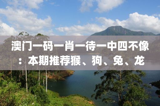 澳門一碼一肖一待一中四不像：本期推薦猴、狗、兔、龍