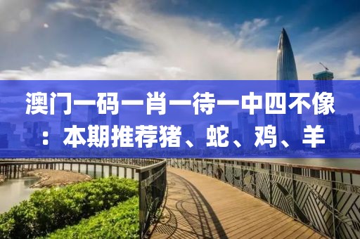 澳門一碼一肖一待一中四不像：本期推薦豬、蛇、雞、羊