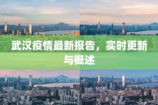 武漢疫情最新報(bào)告，實(shí)時更新與概述