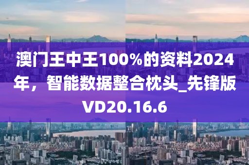 澳門王中王100%的資料2024年，智能數(shù)據(jù)整合枕頭_先鋒版VD20.16.6