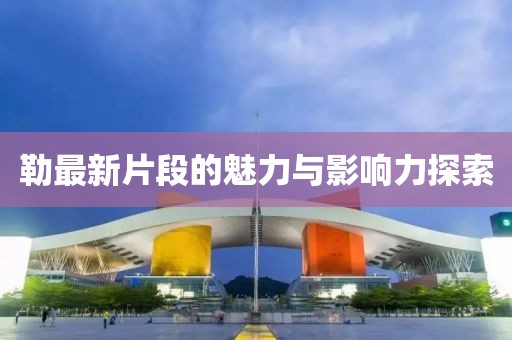 勒最新片段的魅力與影響力探索