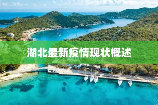 湖北最新疫情現(xiàn)狀概述
