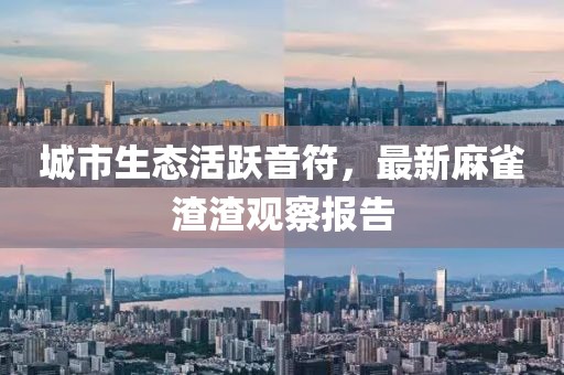 城市生態(tài)活躍音符，最新麻雀渣渣觀察報(bào)告