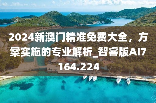 2024新澳門精準(zhǔn)免費(fèi)大全，方案實(shí)施的專業(yè)解析_智睿版AI7164.224