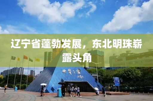 遼寧省蓬勃發(fā)展，東北明珠嶄露頭角