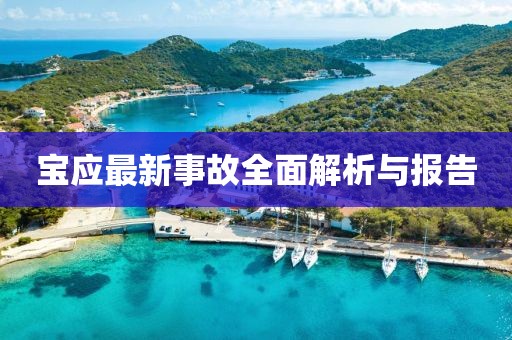 寶應(yīng)最新事故全面解析與報告