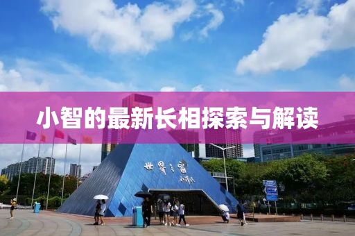 小智的最新長相探索與解讀