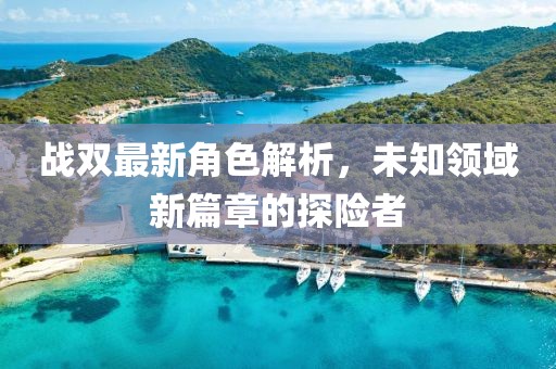 戰(zhàn)雙最新角色解析，未知領(lǐng)域新篇章的探險(xiǎn)者
