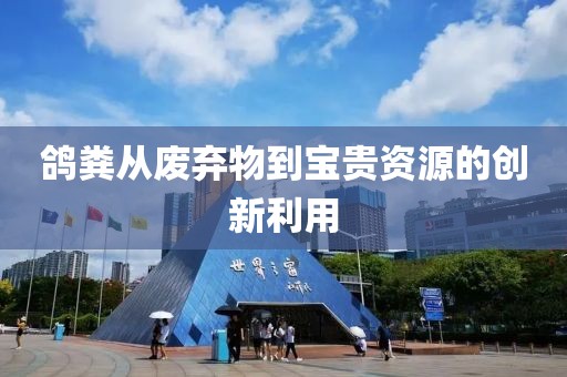 鴿糞從廢棄物到寶貴資源的創(chuàng)新利用