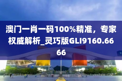 澳門一肖一碼100%精準(zhǔn)，專家權(quán)威解析_靈巧版GLI9160.6666