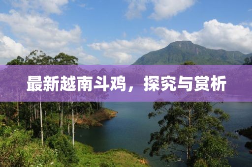 最新越南斗雞，探究與賞析
