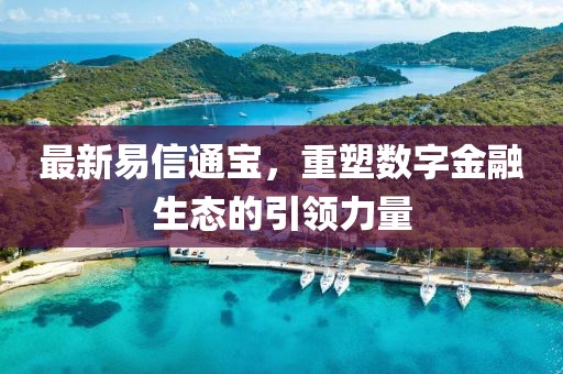 最新易信通寶，重塑數(shù)字金融生態(tài)的引領(lǐng)力量