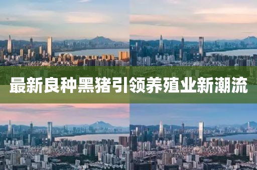 最新良種黑豬引領(lǐng)養(yǎng)殖業(yè)新潮流