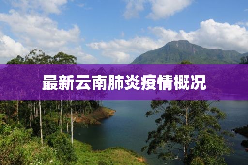最新云南肺炎疫情概況