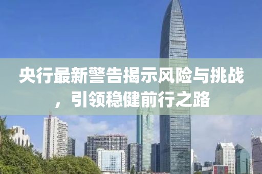 央行最新警告揭示風(fēng)險(xiǎn)與挑戰(zhàn)，引領(lǐng)穩(wěn)健前行之路