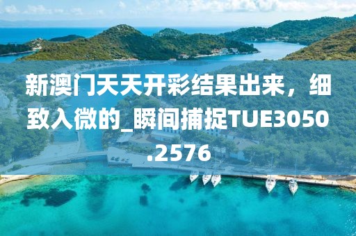 新澳門天天開彩結果出來，細致入微的_瞬間捕捉TUE3050.2576