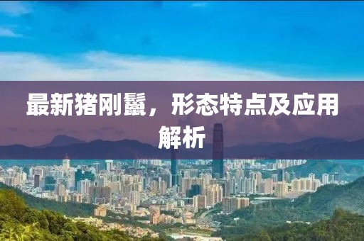 最新豬剛鬣，形態(tài)特點及應(yīng)用解析