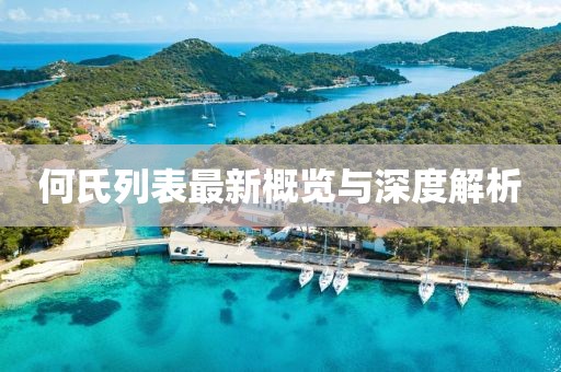 何氏列表最新概覽與深度解析