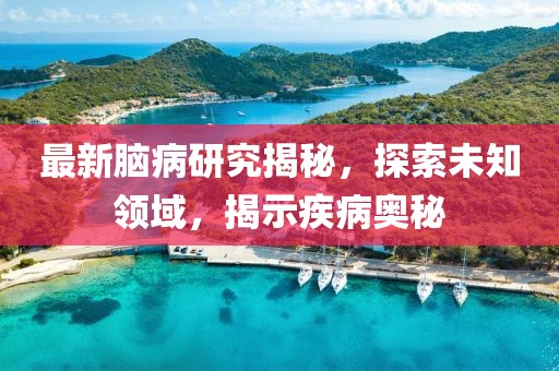 最新腦病研究揭秘，探索未知領(lǐng)域，揭示疾病奧秘