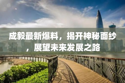 成毅最新爆料，揭開神秘面紗，展望未來(lái)發(fā)展之路