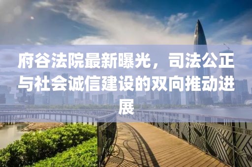 府谷法院最新曝光，司法公正與社會誠信建設(shè)的雙向推動進(jìn)展