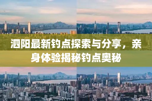 泗陽最新釣點探索與分享，親身體驗揭秘釣點奧秘