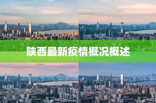 陜西最新疫情概況概述