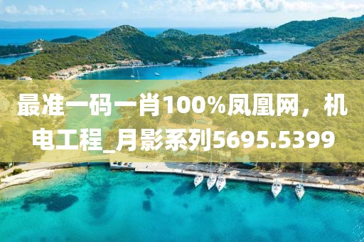 最準一碼一肖100%鳳凰網，機電工程_月影系列5695.5399