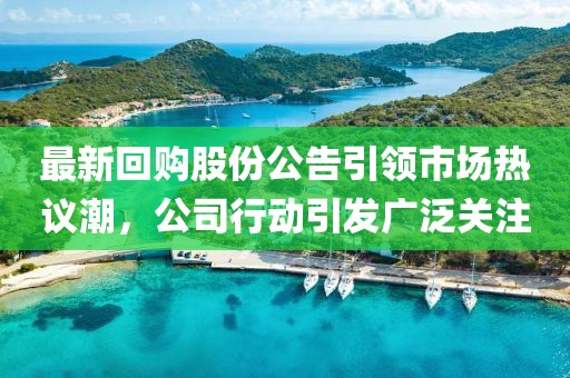 最新回購(gòu)股份公告引領(lǐng)市場(chǎng)熱議潮，公司行動(dòng)引發(fā)廣泛關(guān)注