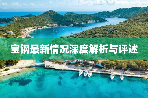 寶鋼最新情況深度解析與評(píng)述