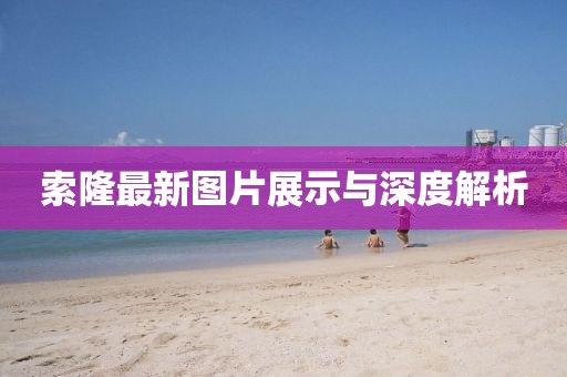 索隆最新圖片展示與深度解析