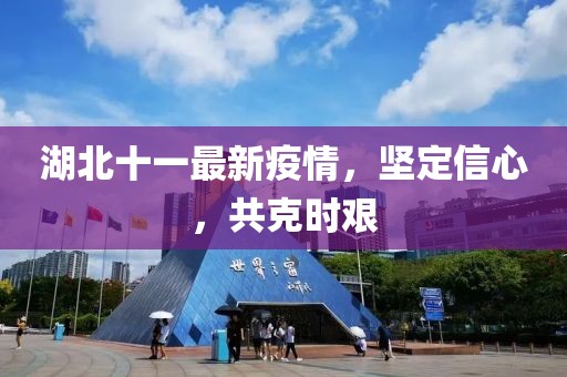 湖北十一最新疫情，堅(jiān)定信心，共克時(shí)艱