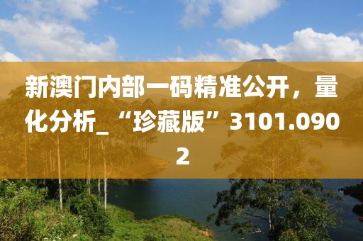新澳門(mén)內(nèi)部一碼精準(zhǔn)公開(kāi)，量化分析_“珍藏版”3101.0902