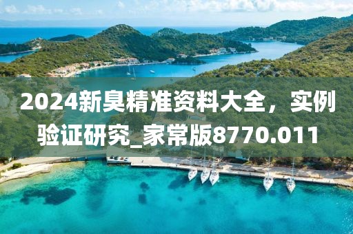 2024新臭精準(zhǔn)資料大全，實(shí)例驗(yàn)證研究_家常版8770.011