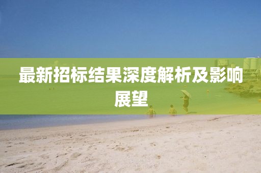 最新招標(biāo)結(jié)果深度解析及影響展望