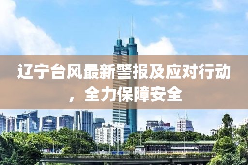 遼寧臺(tái)風(fēng)最新警報(bào)及應(yīng)對(duì)行動(dòng)，全力保障安全