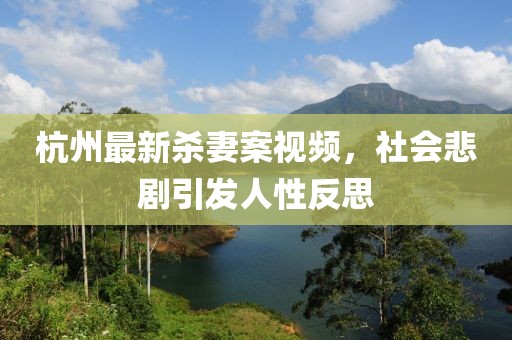 杭州最新殺妻案視頻，社會悲劇引發(fā)人性反思