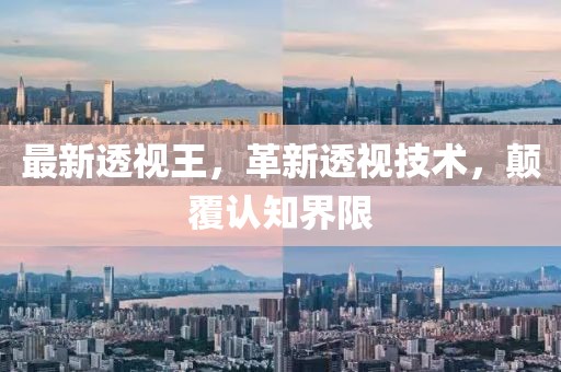 最新透視王，革新透視技術(shù)，顛覆認知界限
