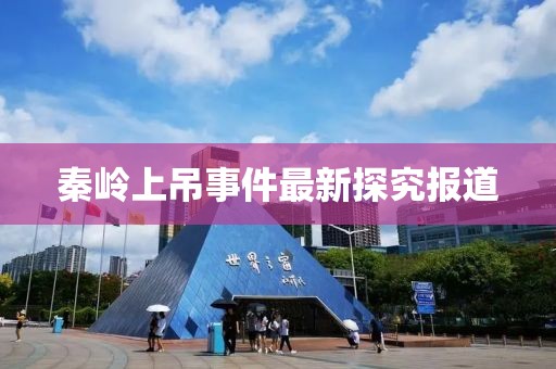 秦嶺上吊事件最新探究報(bào)道