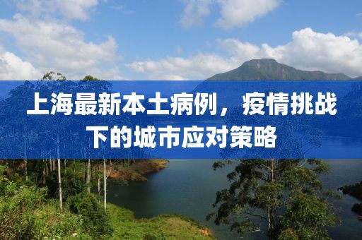 上海最新本土病例，疫情挑戰(zhàn)下的城市應(yīng)對策略