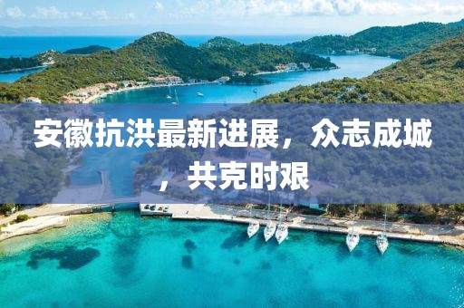 安徽抗洪最新進(jìn)展，眾志成城，共克時(shí)艱