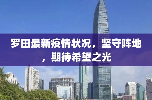 羅田最新疫情狀況，堅(jiān)守陣地，期待希望之光